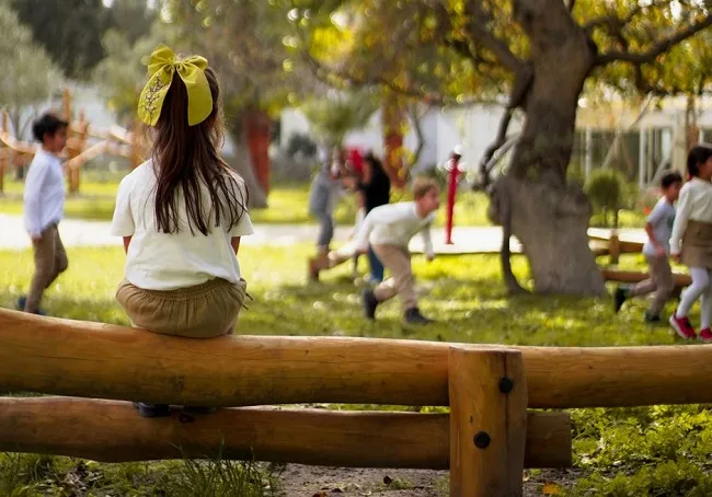 Ali Koç, Bodrum’da eğitim köyü Zeytin Ağacı’nda dünya vatandaşı yetiştiriyor