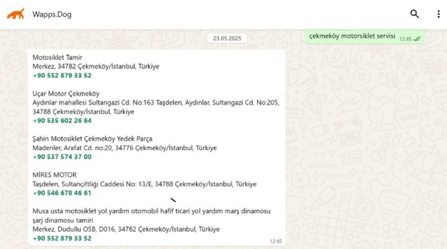 Yerel Hizmetleri Bulmak Hiç Bu Kadar Kolay Olmamıştı: Wapps.dog, Artık WhatsApp Üzerinden de Hizmetinizde!