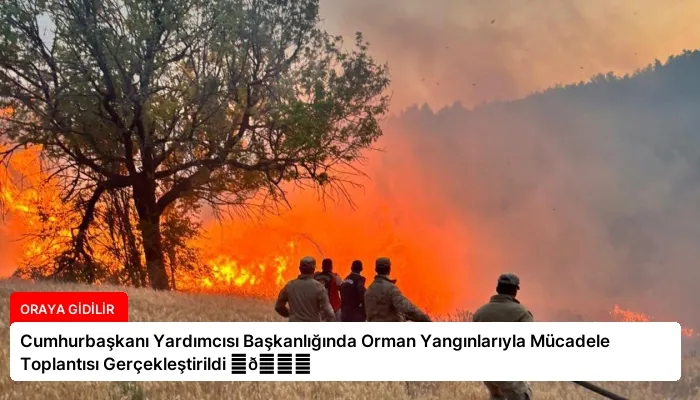Cumhurbaşkanı Yardımcısı Başkanlığında Orman Yangınlarıyla Mücadele Toplantısı Gerçekleştirildi ⏬👇
