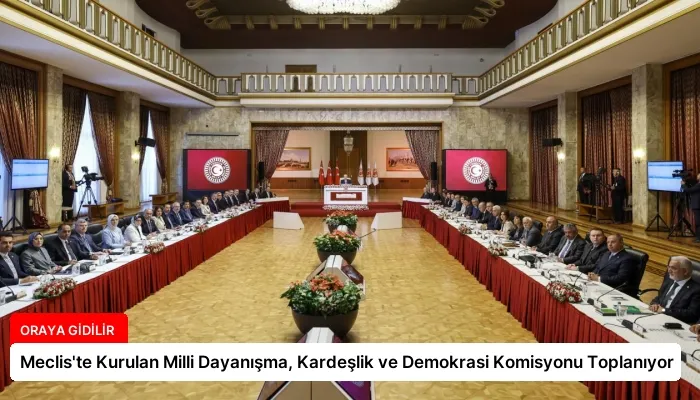 Meclis’te Kurulan Milli Dayanışma, Kardeşlik ve Demokrasi Komisyonu Toplanıyor