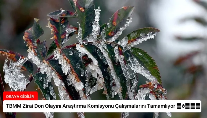 TBMM Zirai Don Olayını Araştırma Komisyonu Çalışmalarını Tamamlıyor ⏬👇