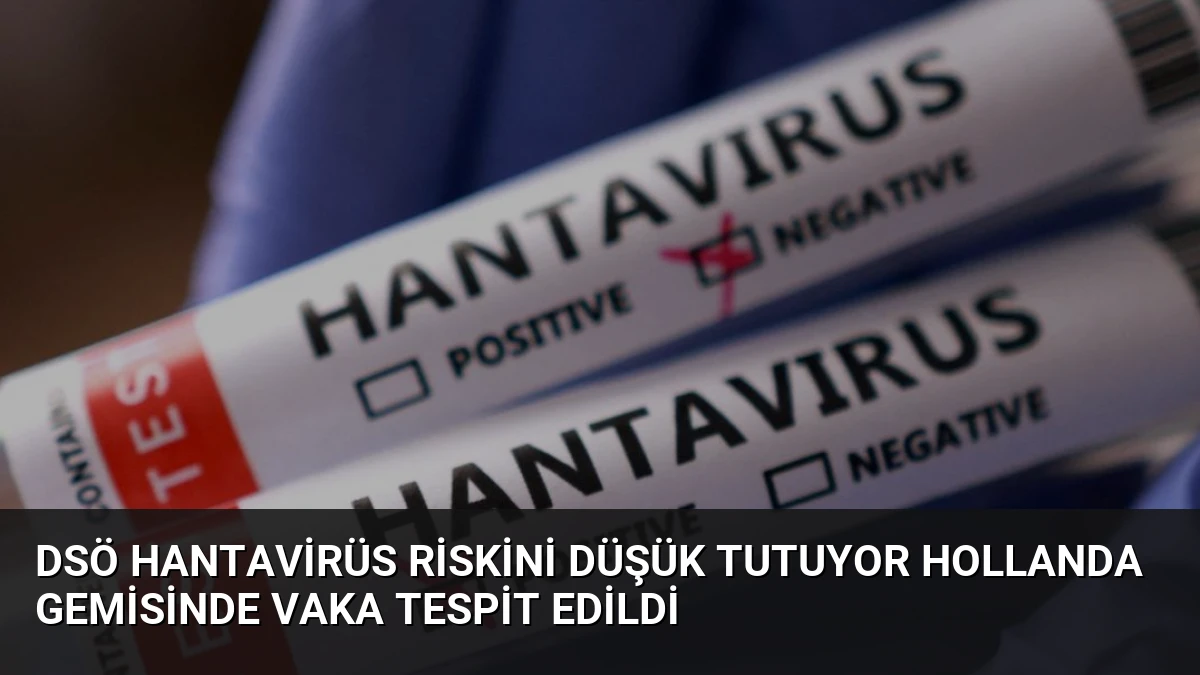 DSÖ Hantavirüs Riskini Düşük Tutuyor Hollanda Gemisinde Vaka Tespit Edildi