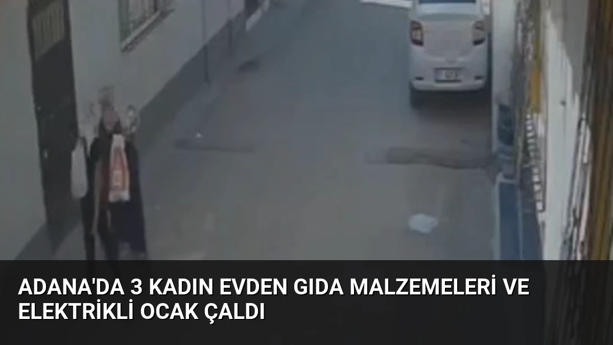 Adana’da 3 Kadın Evden Gıda Malzemeleri ve Elektrikli Ocak Çaldı