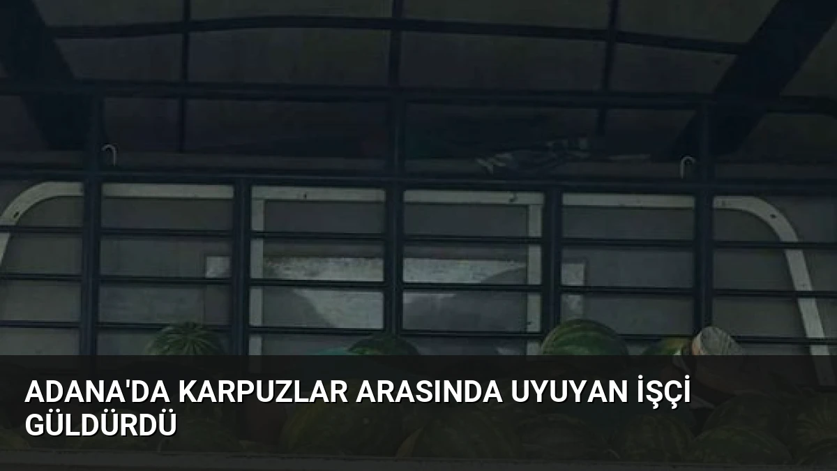 Adana’da Karpuzlar Arasında Uyuyan İşçi Güldürdü