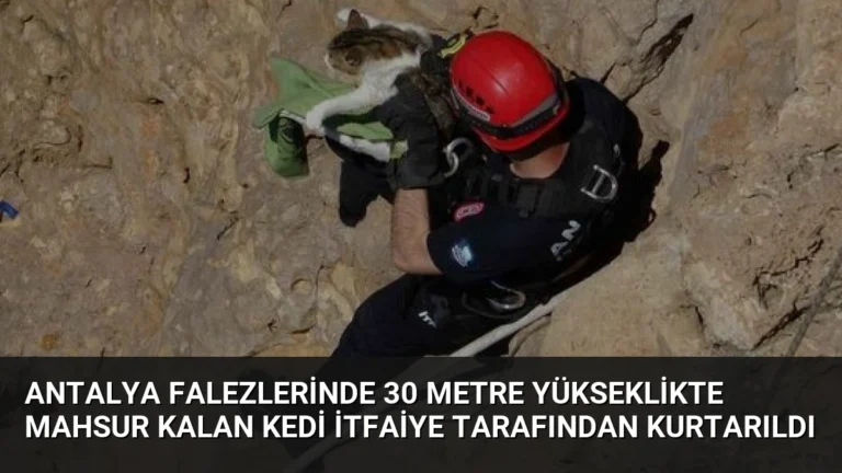 Antalya Falezlerinde 30 Metre Yükseklikte Mahsur Kalan Kedi İtfaiye Tarafından Kurtarıldı