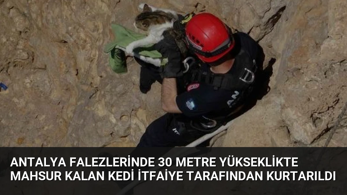 Antalya Falezlerinde 30 Metre Yükseklikte Mahsur Kalan Kedi İtfaiye Tarafından Kurtarıldı