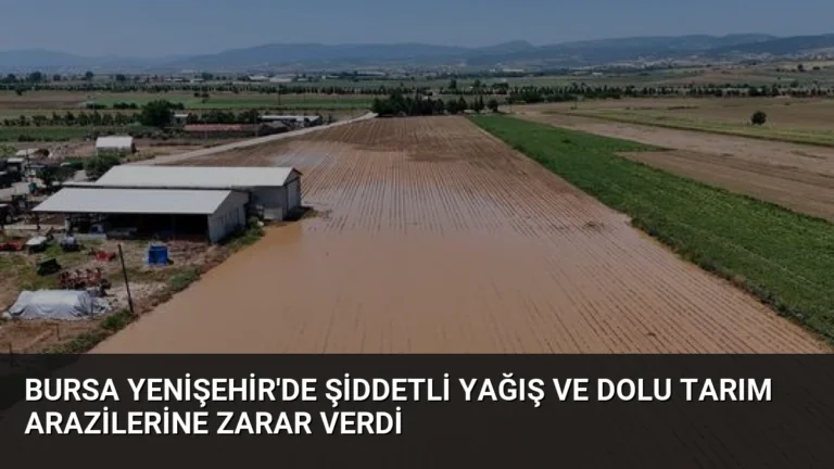 Bursa Yenişehir’de Şiddetli Yağış ve Dolu Tarım Arazilerine Zarar Verdi