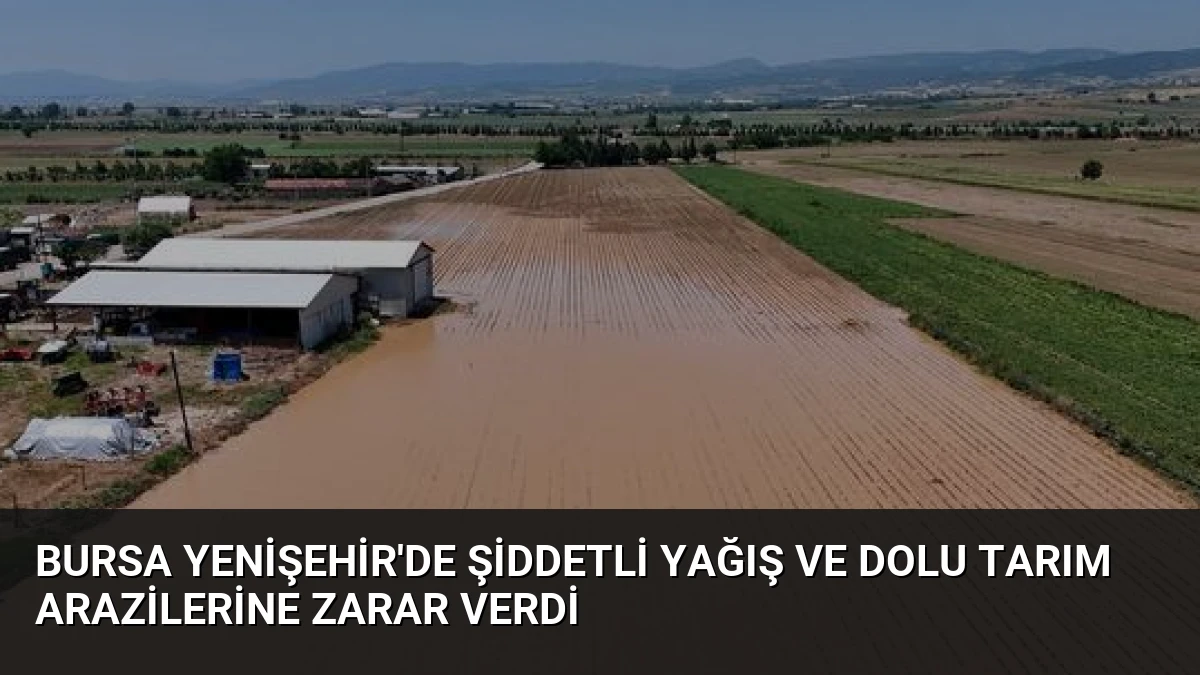 Bursa Yenişehir’de Şiddetli Yağış ve Dolu Tarım Arazilerine Zarar Verdi