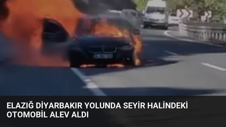 Elazığ Diyarbakır Yolunda Seyir Halindeki Otomobil Alev Aldı