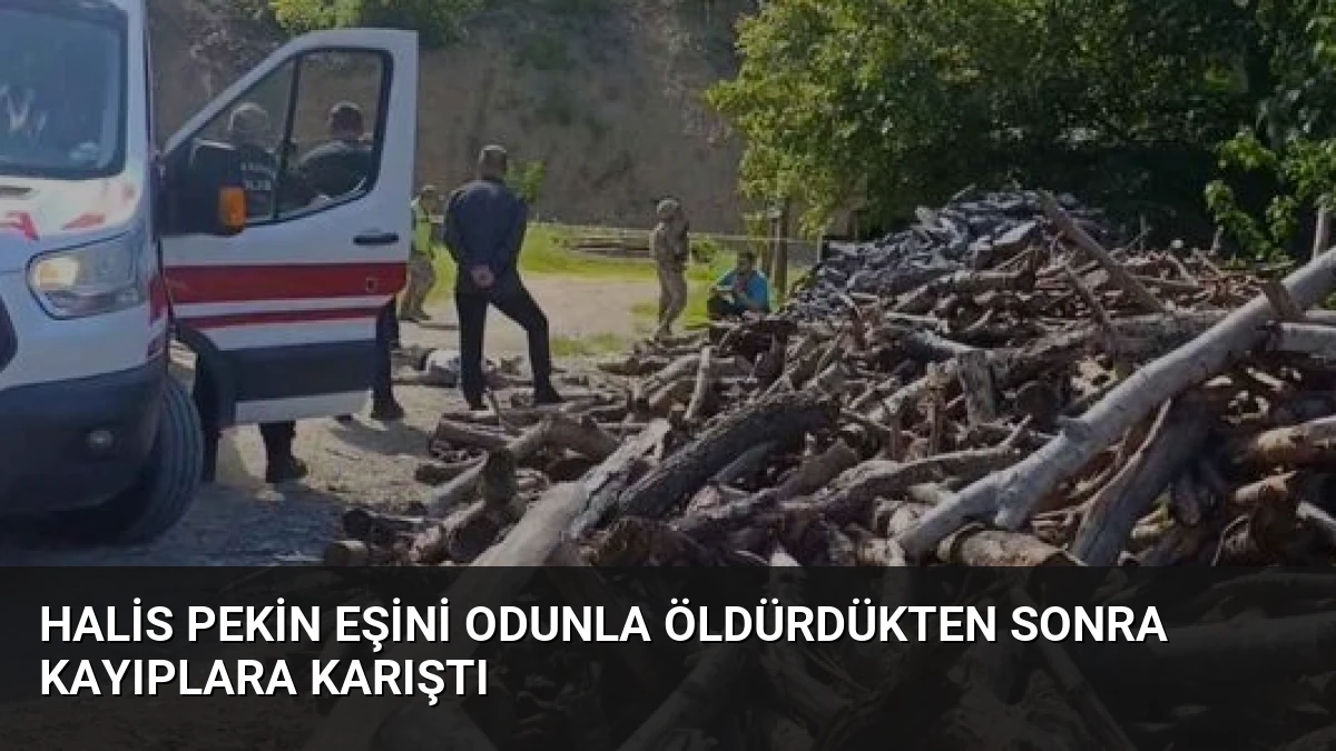 Halis Pekin Eşini Odunla Öldürdükten Sonra Kayıplara Karıştı
