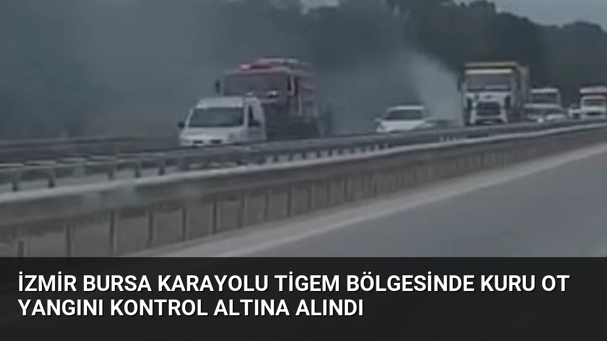 İzmir Bursa Karayolu TİGEM Bölgesinde Kuru Ot Yangını Kontrol Altına Alındı