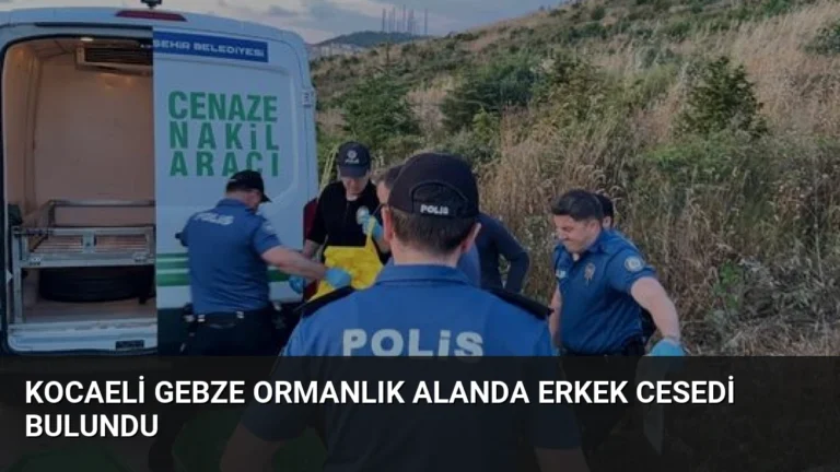 Kocaeli Gebze Ormanlık Alanda Erkek Cesedi Bulundu