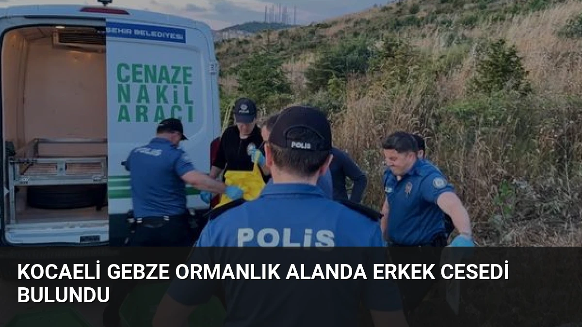 Kocaeli Gebze Ormanlık Alanda Erkek Cesedi Bulundu