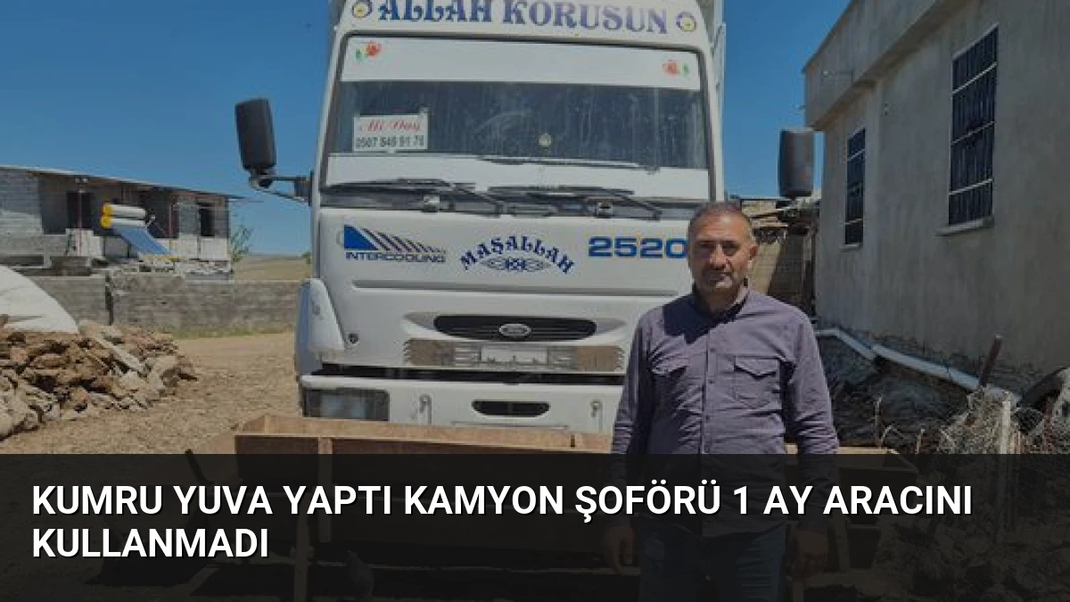 Kumru Yuva Yaptı Kamyon Şoförü 1 Ay Aracını Kullanmadı