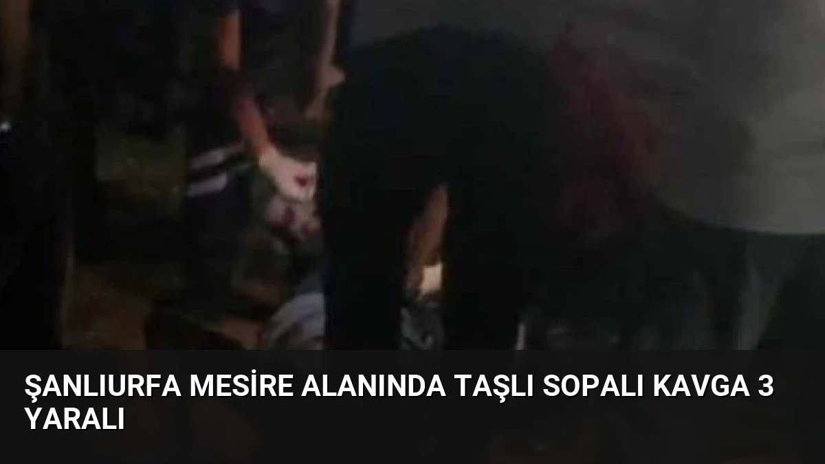 Şanlıurfa Mesire Alanında Taşlı Sopalı Kavga 3 Yaralı