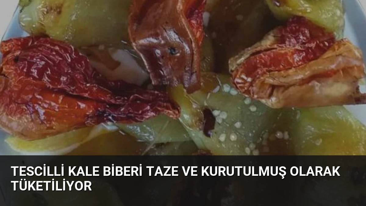 Tescilli Kale Biberi Taze ve Kurutulmuş Olarak Tüketiliyor