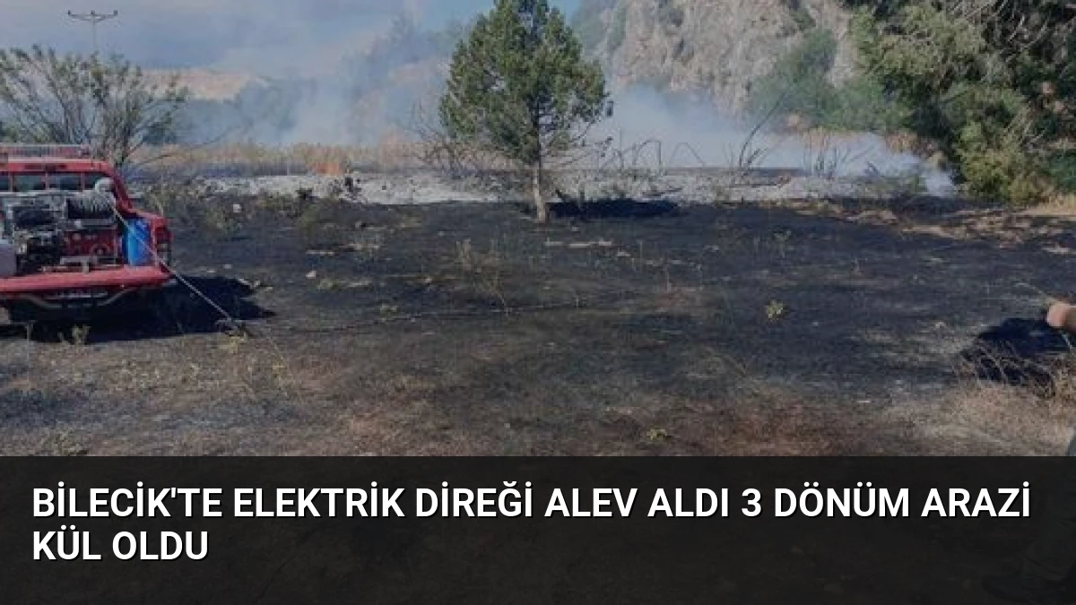 Bilecik’te Elektrik Direği Alev Aldı 3 Dönüm Arazi Kül Oldu