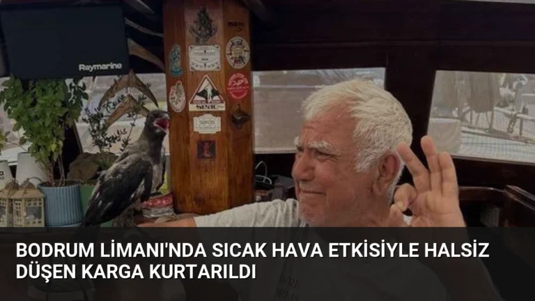 Bodrum Limanı’nda Sıcak Hava Etkisiyle Halsiz Düşen Karga Kurtarıldı