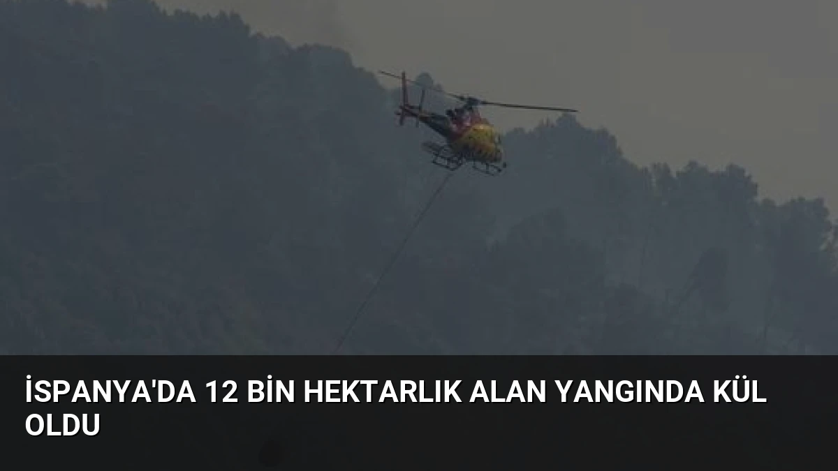 İspanya’da 12 Bin Hektarlık Alan Yangında Kül Oldu