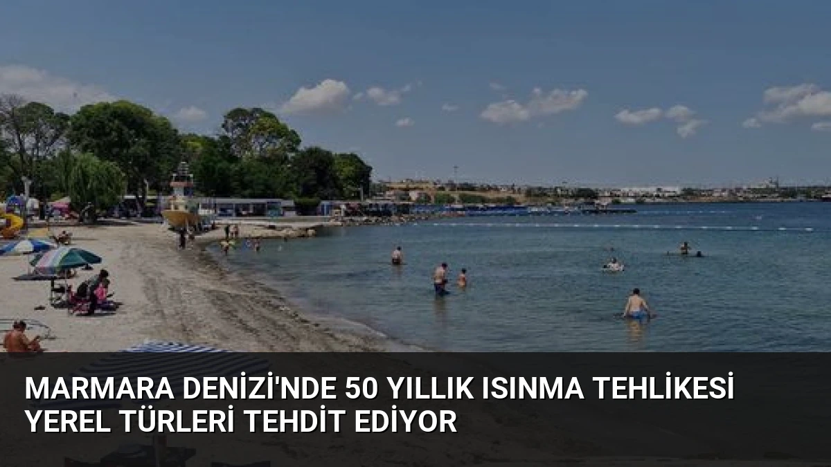 Marmara Denizi’nde 50 Yıllık Isınma Tehlikesi Yerel Türleri Tehdit Ediyor