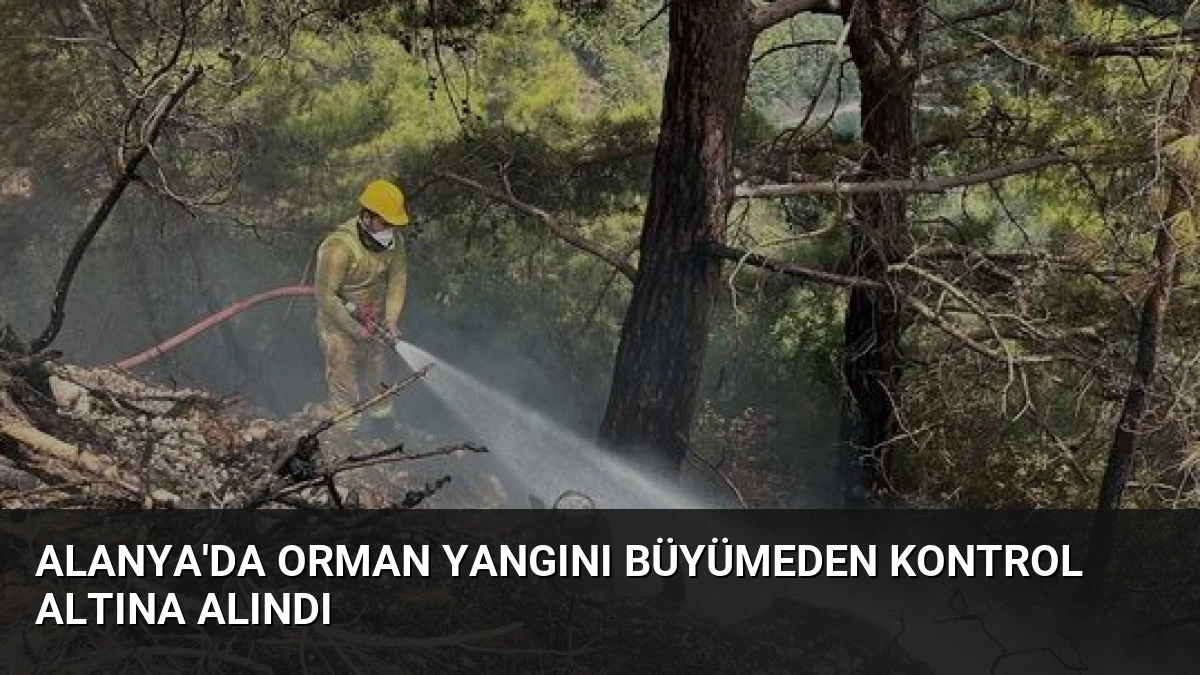 Alanya’da Orman Yangını Büyümeden Kontrol Altına Alındı