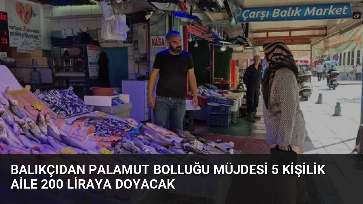 Balıkçıdan Palamut Bolluğu Müjdesi 5 Kişilik Aile 200 Liraya Doyacak