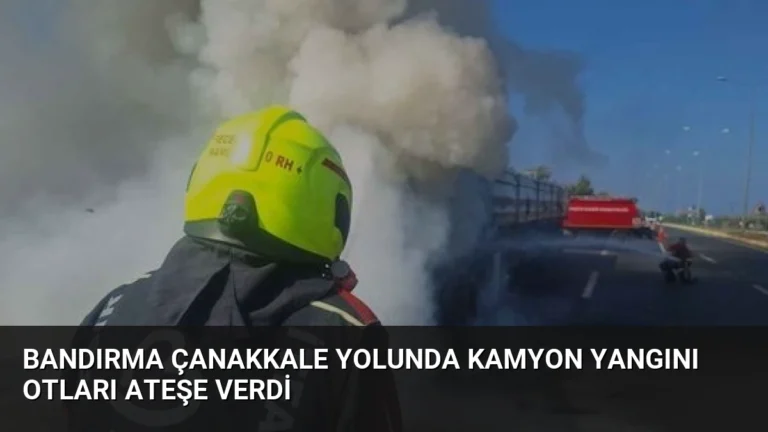 Bandırma Çanakkale Yolunda Kamyon Yangını Otları Ateşe Verdi