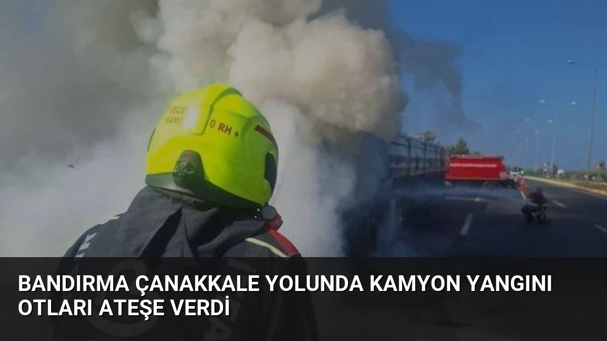 Bandırma Çanakkale Yolunda Kamyon Yangını Otları Ateşe Verdi