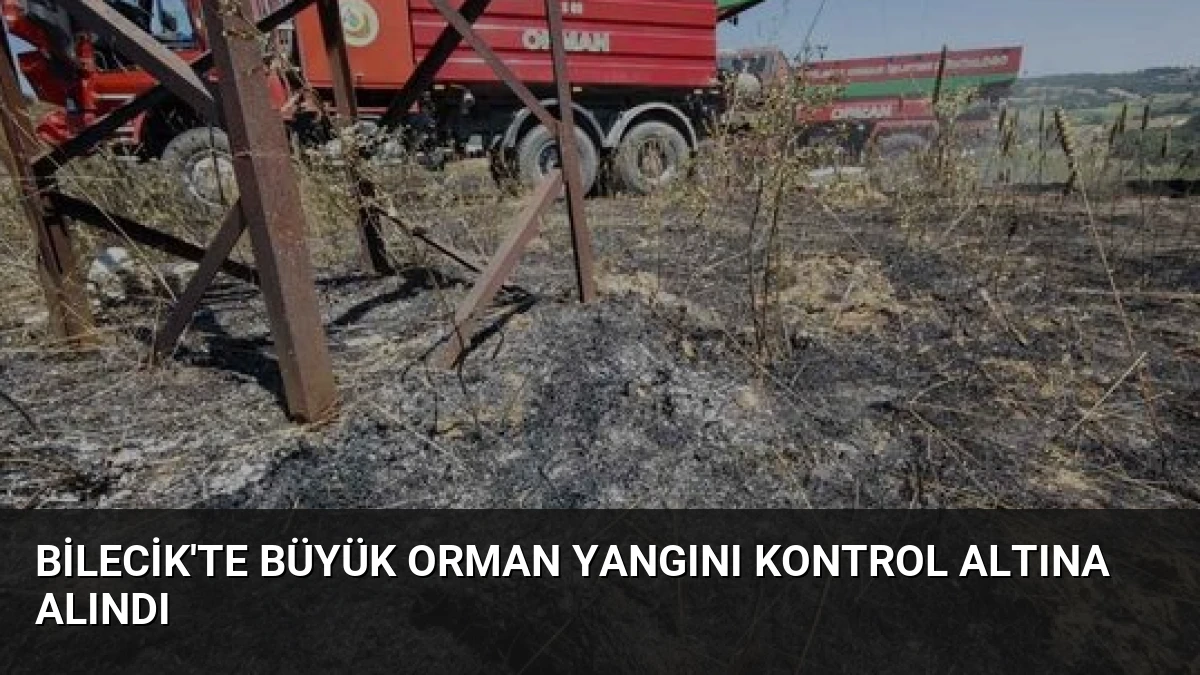 Bilecik’te Büyük Orman Yangını Kontrol Altına Alındı