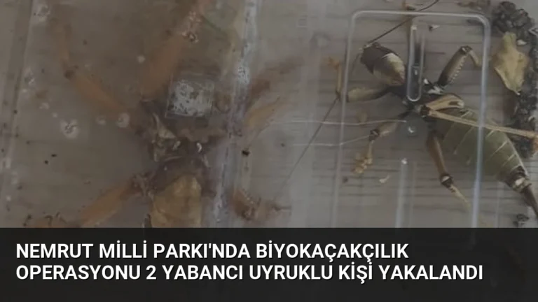 Nemrut Milli Parkı’nda Biyokaçakçılık Operasyonu 2 Yabancı Uyruklu Kişi Yakalandı