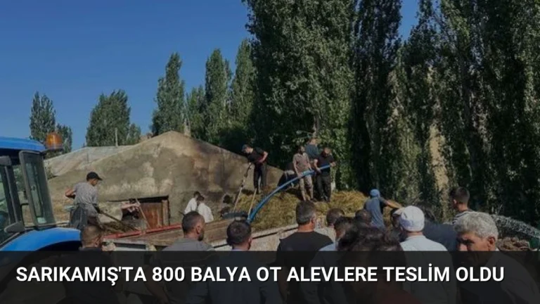 Sarıkamış’ta 800 Balya Ot Alevlere Teslim Oldu