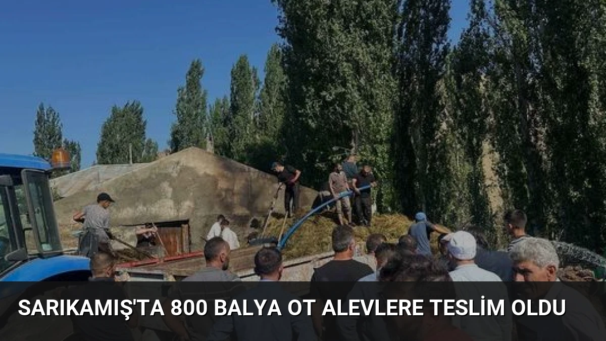 Sarıkamış’ta 800 Balya Ot Alevlere Teslim Oldu
