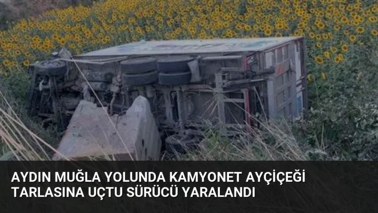 Aydın Muğla Yolunda Kamyonet Ayçiçeği Tarlasına Uçtu Sürücü Yaralandı