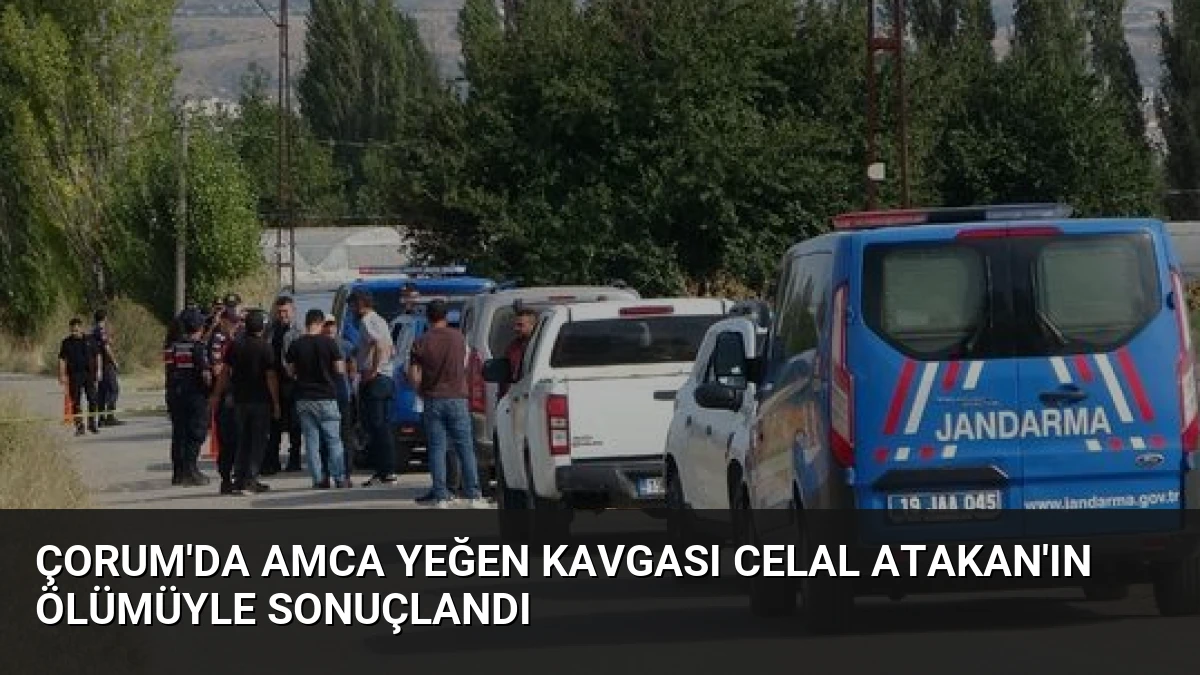 Çorum’da Amca Yeğen Kavgası Celal Atakan’ın Ölümüyle Sonuçlandı