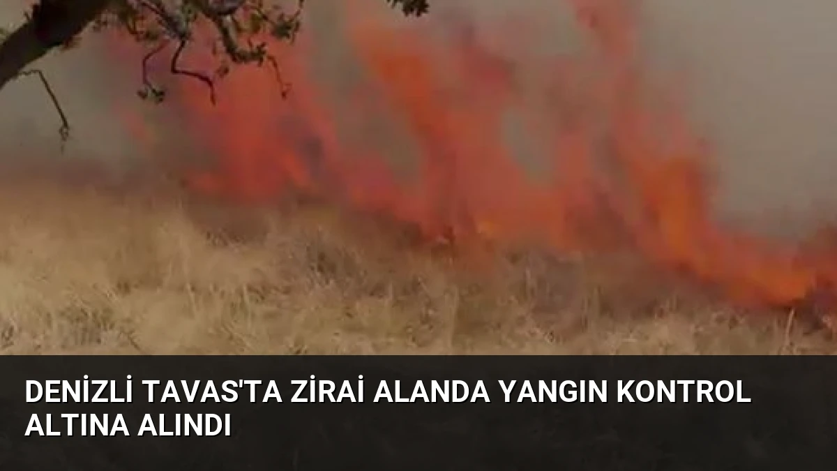 Denizli Tavas’ta Zirai Alanda Yangın Kontrol Altına Alındı