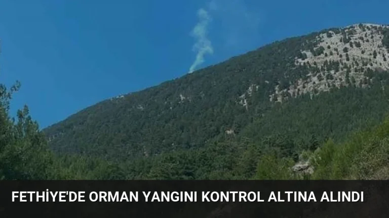 Fethiye’de Orman Yangını Kontrol Altına Alındı