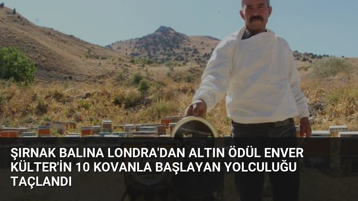 Şırnak Balına Londra’dan Altın Ödül Enver Külter’in 10 Kovanla Başlayan Yolculuğu Taçlandı