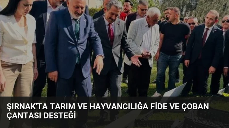 Şırnak’ta Tarım ve Hayvancılığa Fide ve Çoban Çantası Desteği