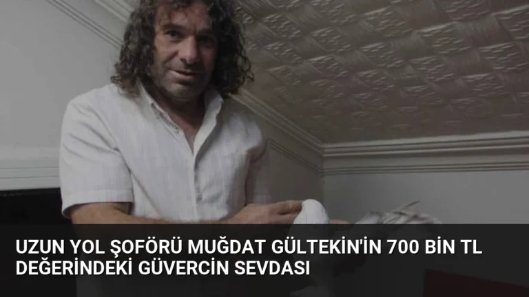Uzun Yol Şoförü Muğdat Gültekin’in 700 Bin TL Değerindeki Güvercin Sevdası