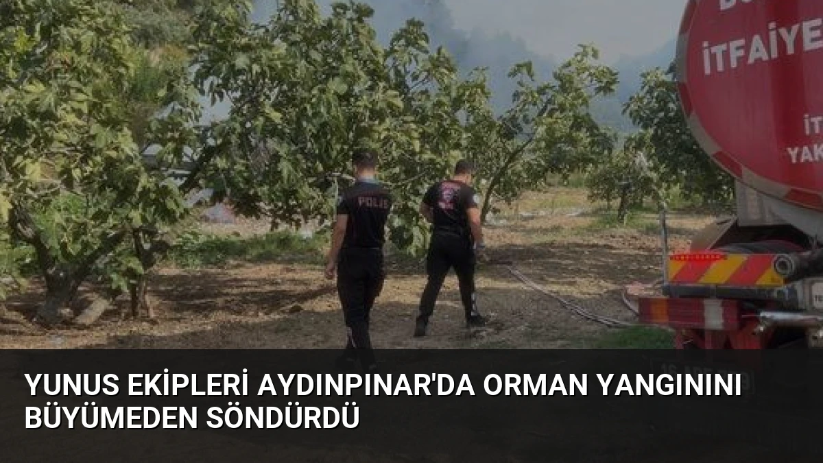 Yunus Ekipleri Aydınpınar’da Orman Yangınını Büyümeden Söndürdü