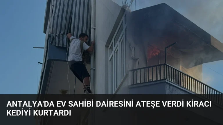 Antalya’da Ev Sahibi Dairesini Ateşe Verdi Kiracı Kediyi Kurtardı