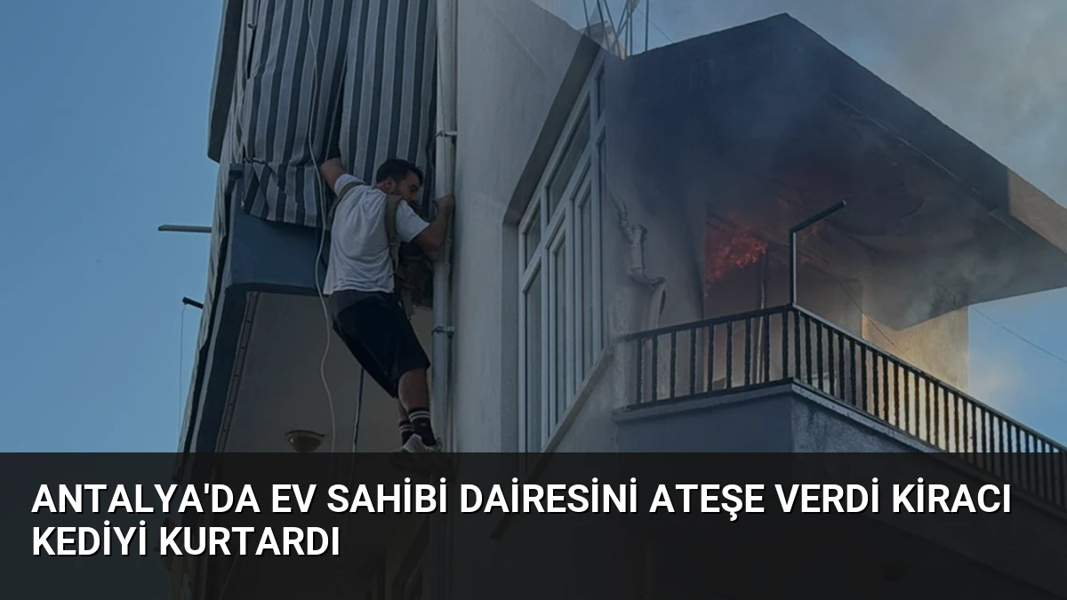 Antalya’da Ev Sahibi Dairesini Ateşe Verdi Kiracı Kediyi Kurtardı