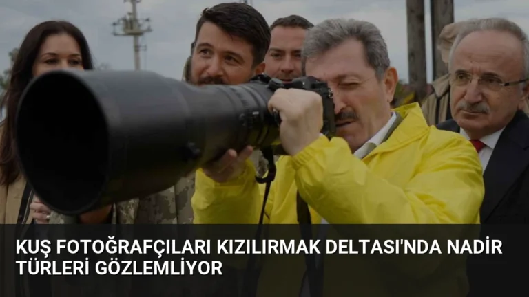 Kuş Fotoğrafçıları Kızılırmak Deltası’nda Nadir Türleri Gözlemliyor