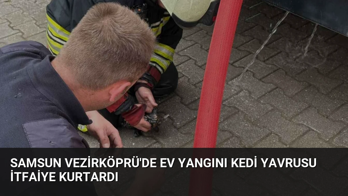 Samsun Vezirköprü’de Ev Yangını Kedi Yavrusu İtfaiye Kurtardı