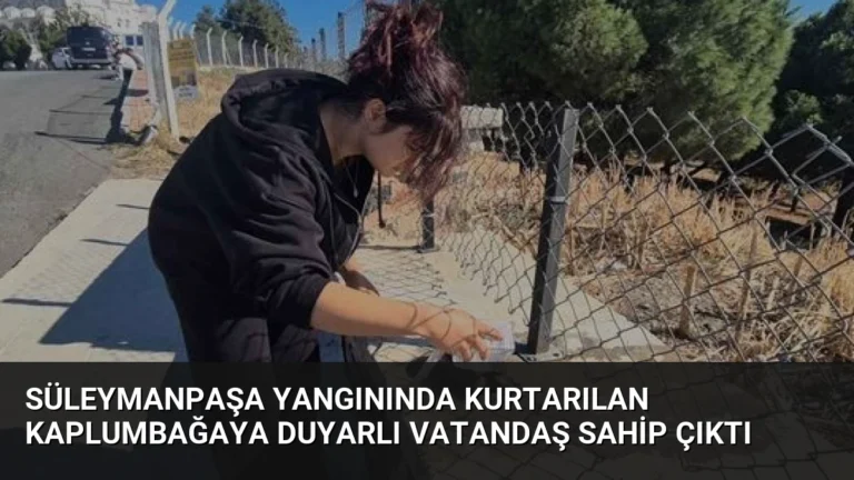 Süleymanpaşa Yangınında Kurtarılan Kaplumbağaya Duyarlı Vatandaş Sahip Çıktı