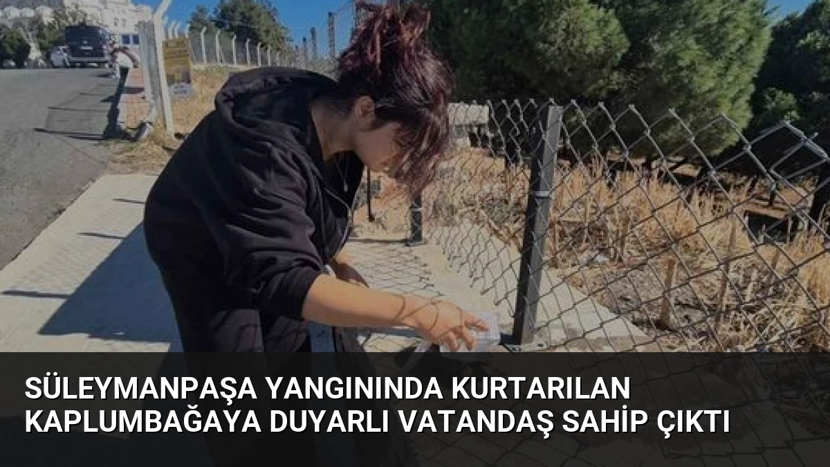Süleymanpaşa Yangınında Kurtarılan Kaplumbağaya Duyarlı Vatandaş Sahip Çıktı